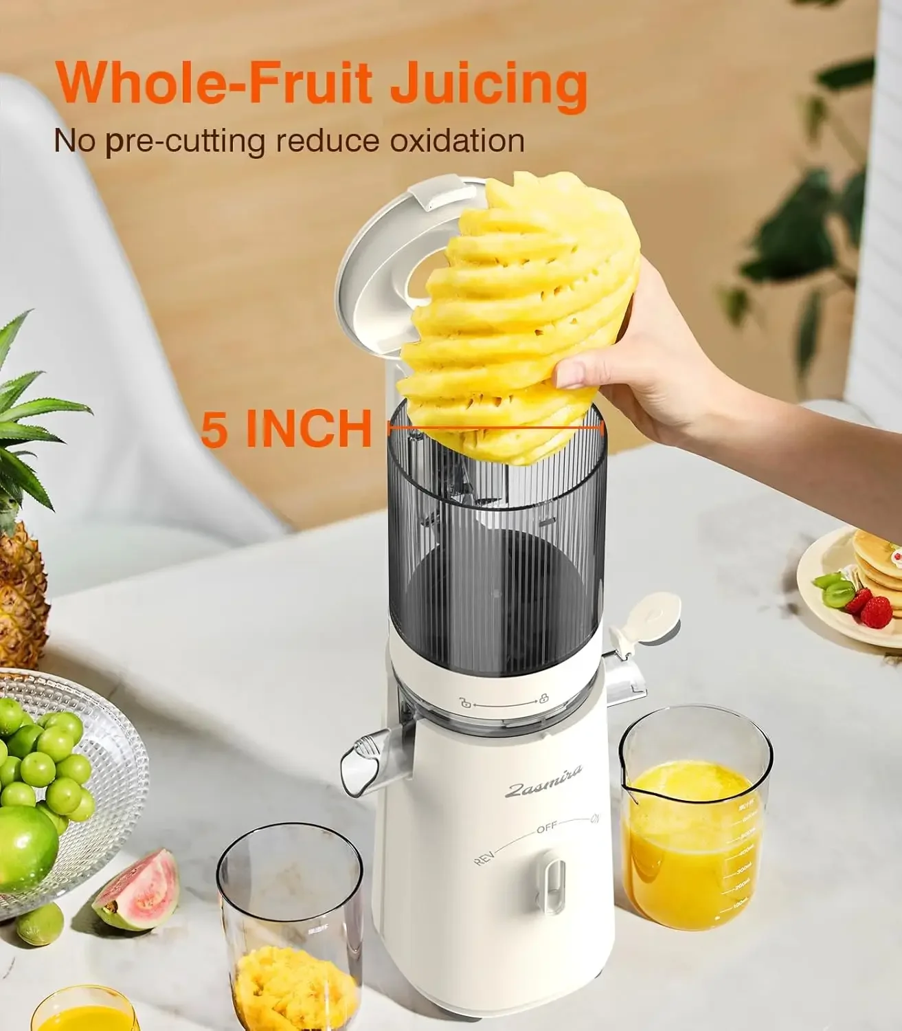 Updated Masticating Juicer Machines with 5