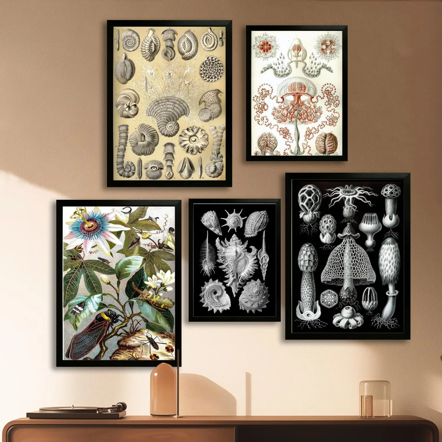 haeckel Canvas Art Poster and Wall Art, Picture Print, Modern Family Bedroom Decor, Posters,Decorative painting