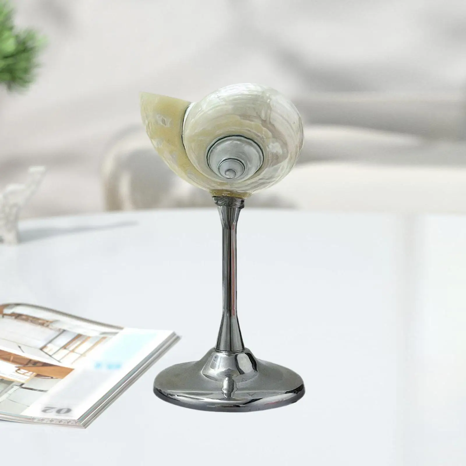 

Conch Shell Champagne Glass Cup Birthday Gift Anniversary Party Unique for Adults Cute Art Cocktail Drinkware Martini Glasses