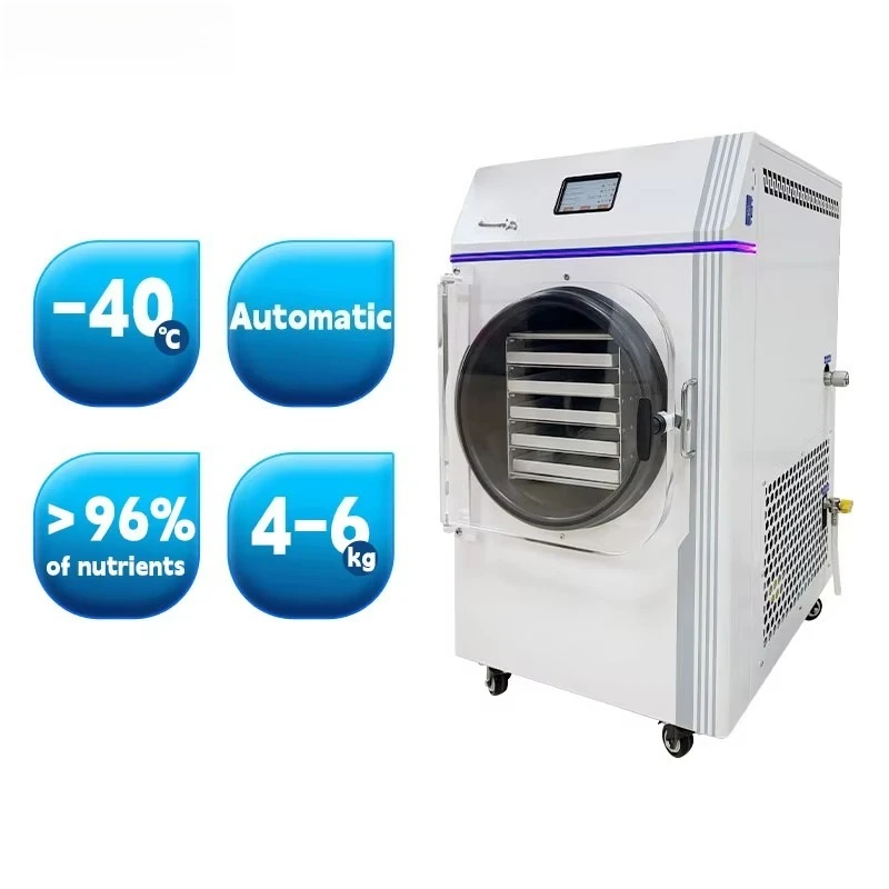 Household kitchen small electric freeze dryer, mini freeze dryer