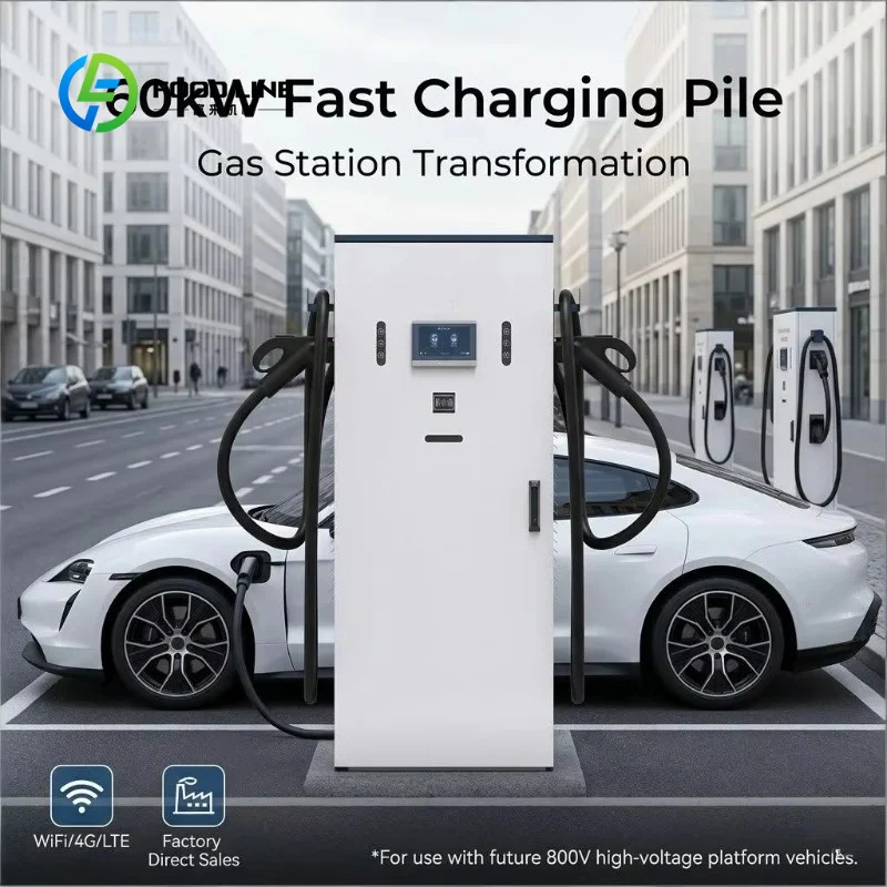 Customized modular dual gun dc evse charger easy maintenance layout for commercial charging station project purchasers