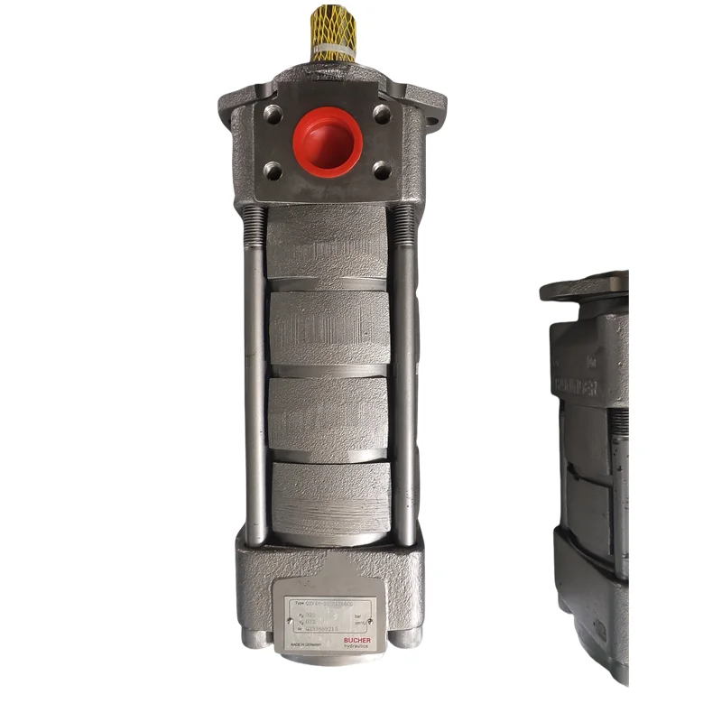 

Double/triple Pump Gear Pump QX QX62-125R-Y QX63-100/52-063R QX42-032/41-040R257 Industrial Machinery Cast Iron