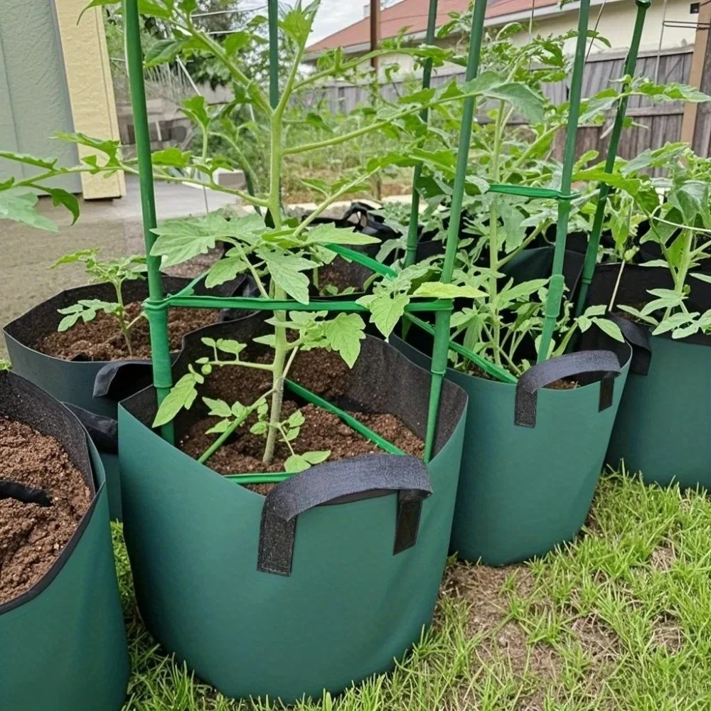 Gallon Grow Bags for Vegetable/Flower/Plant, 5 Gallon Aeration Fabric Pots with Handles Cloth Pots for Plants Garden Gift