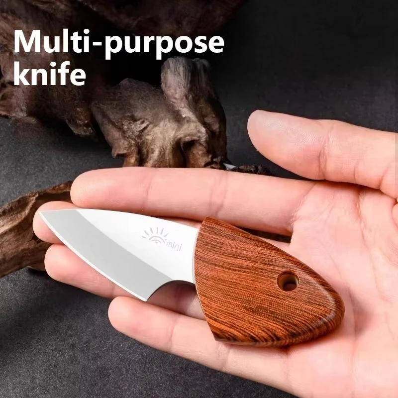 Mini Fruit Knife Sharp High-Hardness Multi-Purpose Pocket Knife Disassembling Express Knife for Cutting Meat