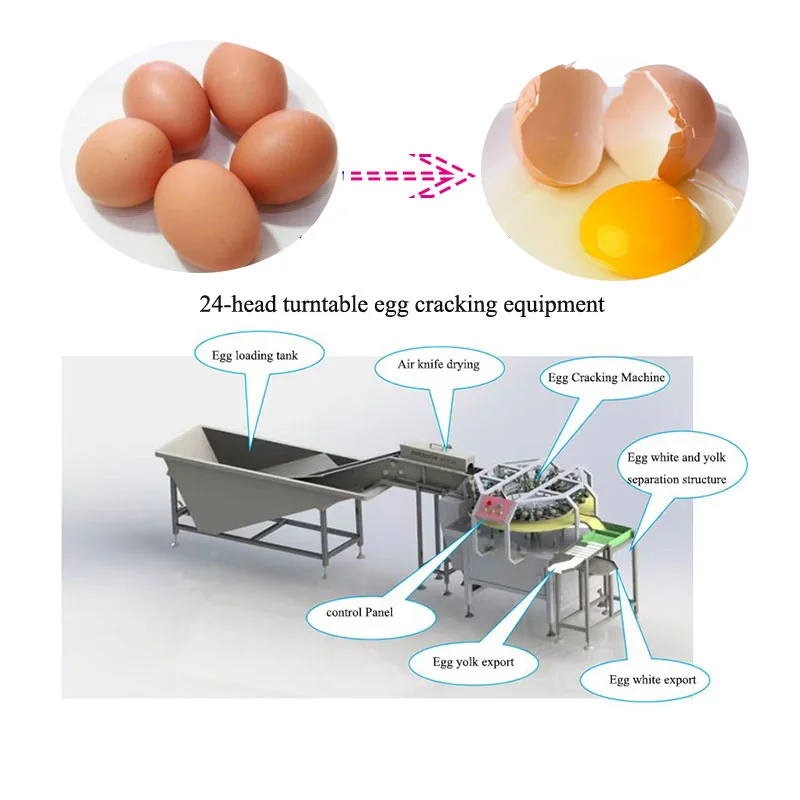 High Quality Fully Automatic Turntable Egg Breaking Cracking Egg White and Yolk Separating Machine FL Customized
