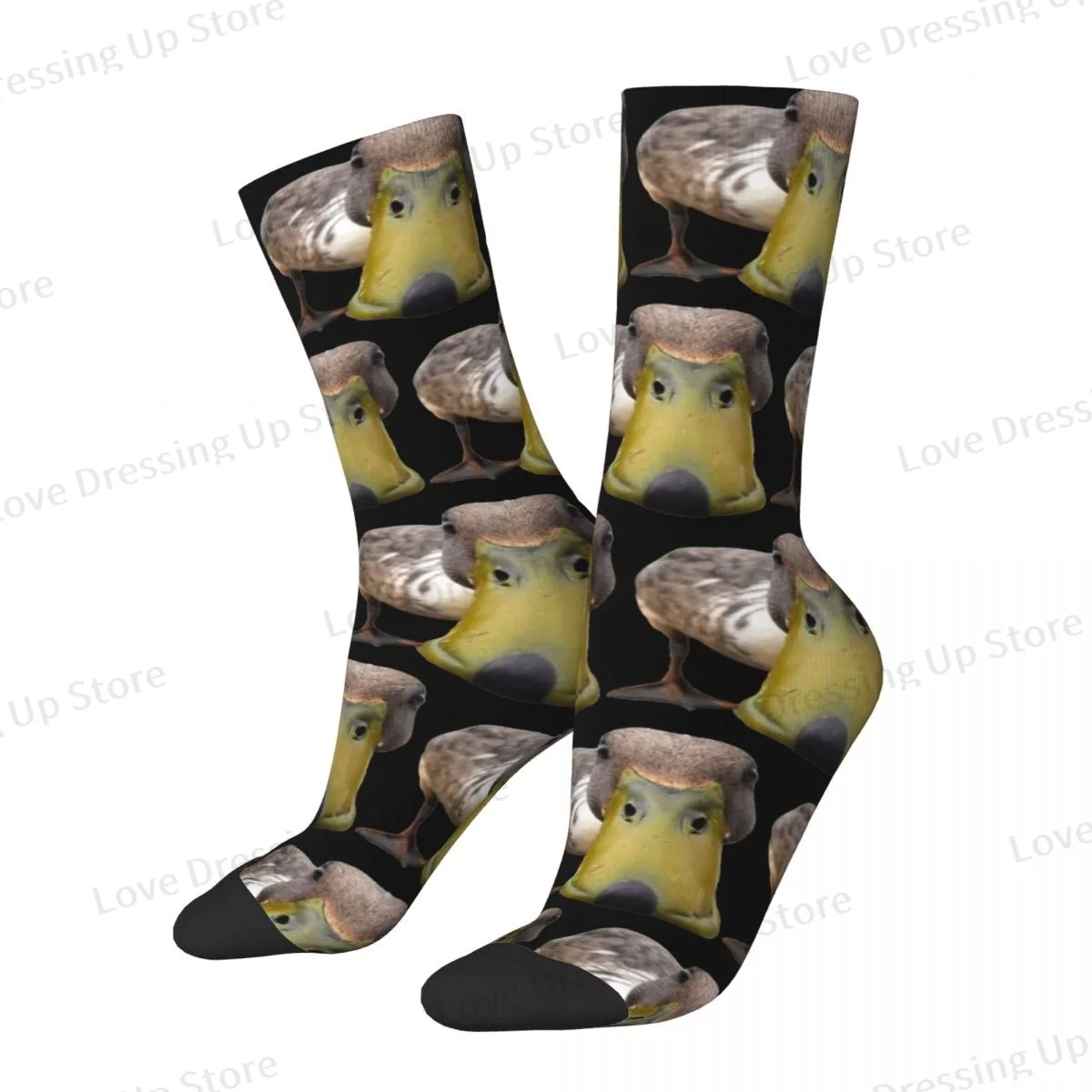 Unisex Winter Socks Curious Duck Running Happy Socks Street Style Crazy Sock