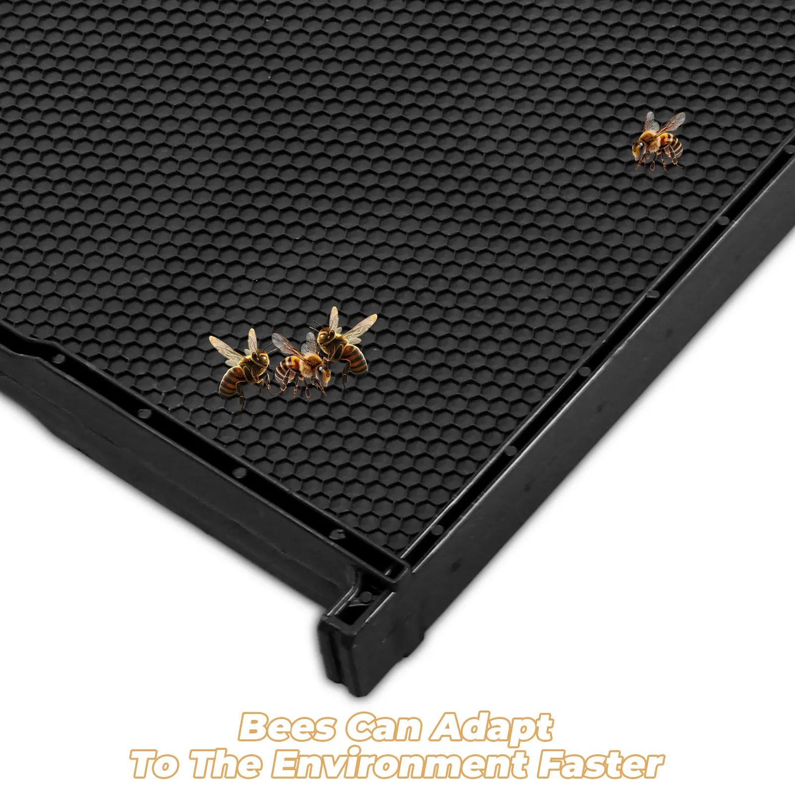 Plastic Beehive Frame with Integrated Nest Foundation Black ABS Beekeeping Equipment for Easy Setup Daily Inspection Honey