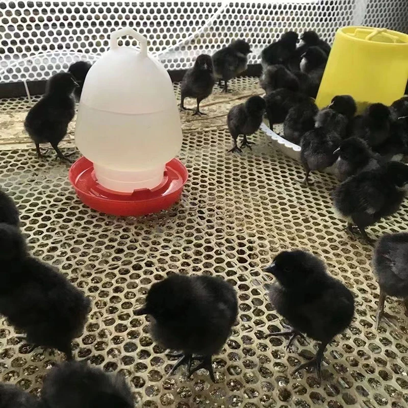 1pc Farm liefert Huhn Tränke langlebige automatische Geflügel Wasser Feeder Trinker mit Griff hängen Geflügel Wasser behälter