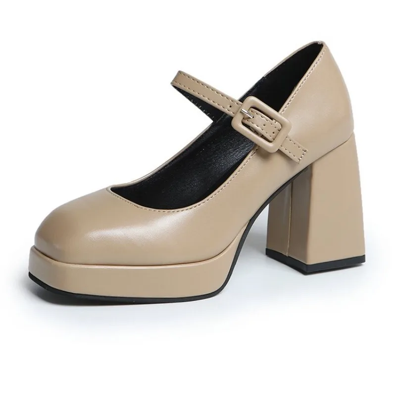 High Heels Mary Jane Shoes Women 2024 Spring New Fashion Chunky Platform Pumps Woman Ankle Buckle Party Lolita Shoes Plus Size