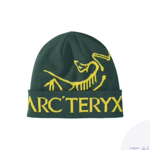 Arc'teryx Polyester, Elastane Beanies Unisex Multicolor BIRD WORD TOQUE/-