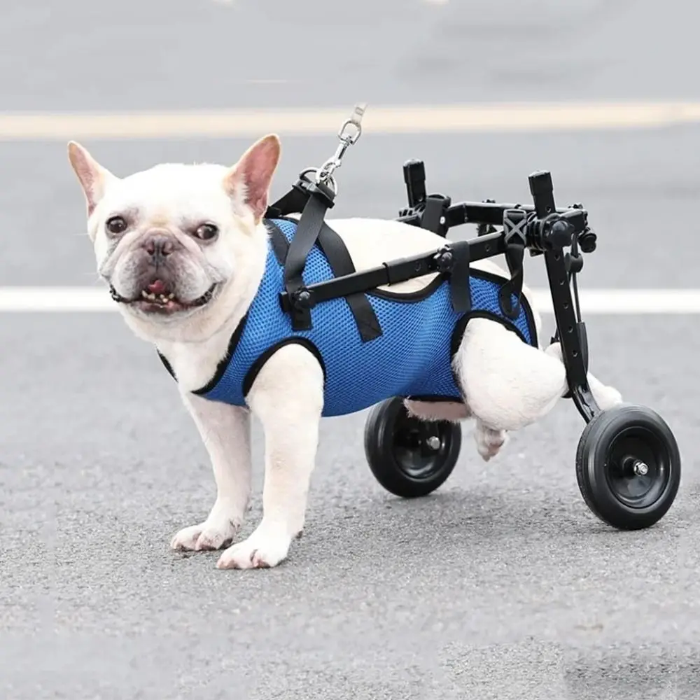 Adjustable Pet Walk Booster Walking Wheels Light Pet Hind Legs Bracket Durable Blue Dog Wheelchair Cart Disability Dog