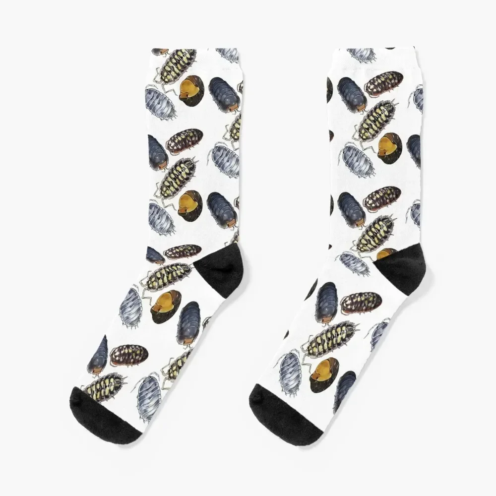 

Isopods! Socks Crossfit Children's Stockings man Socks Men Women's