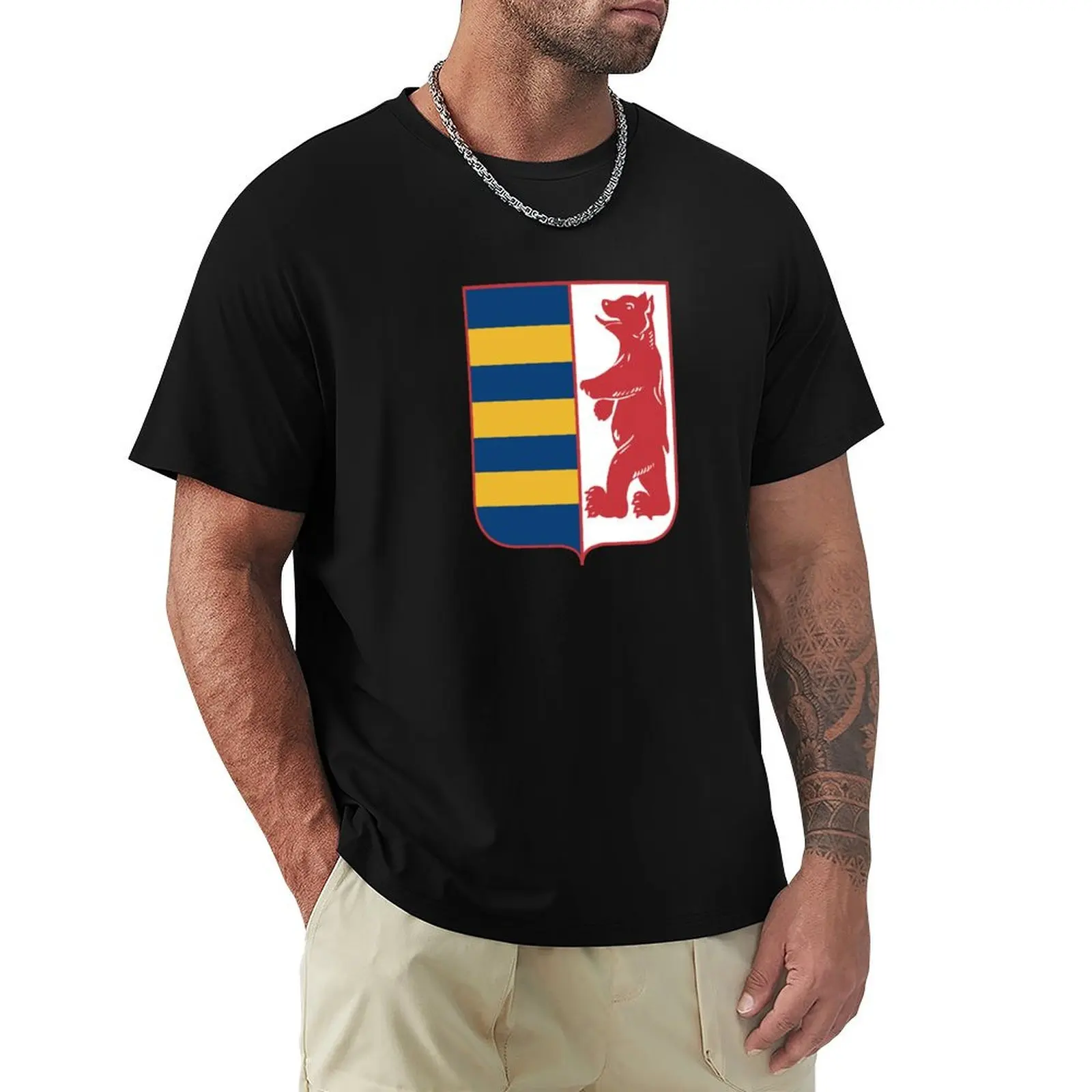 Coat of arms of Rusyns, based on the coat of arms Subcarpathian Rus T-Shirt Abstract Pattern Print Top