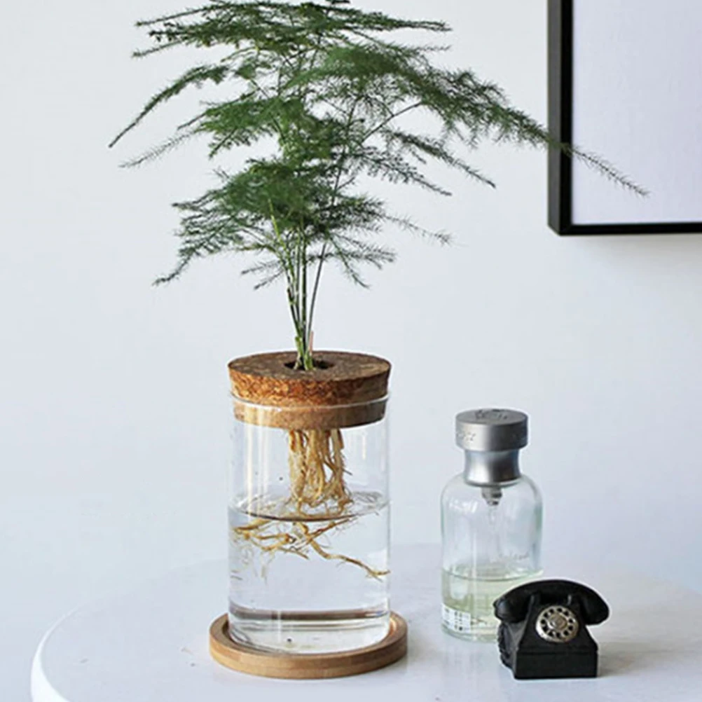 5Pcs 65cm Center Hole Wooden Lid Hydroponic Glass Vase Versatile Size for Various Bottles Easy Plant Growth Glass Terrarium