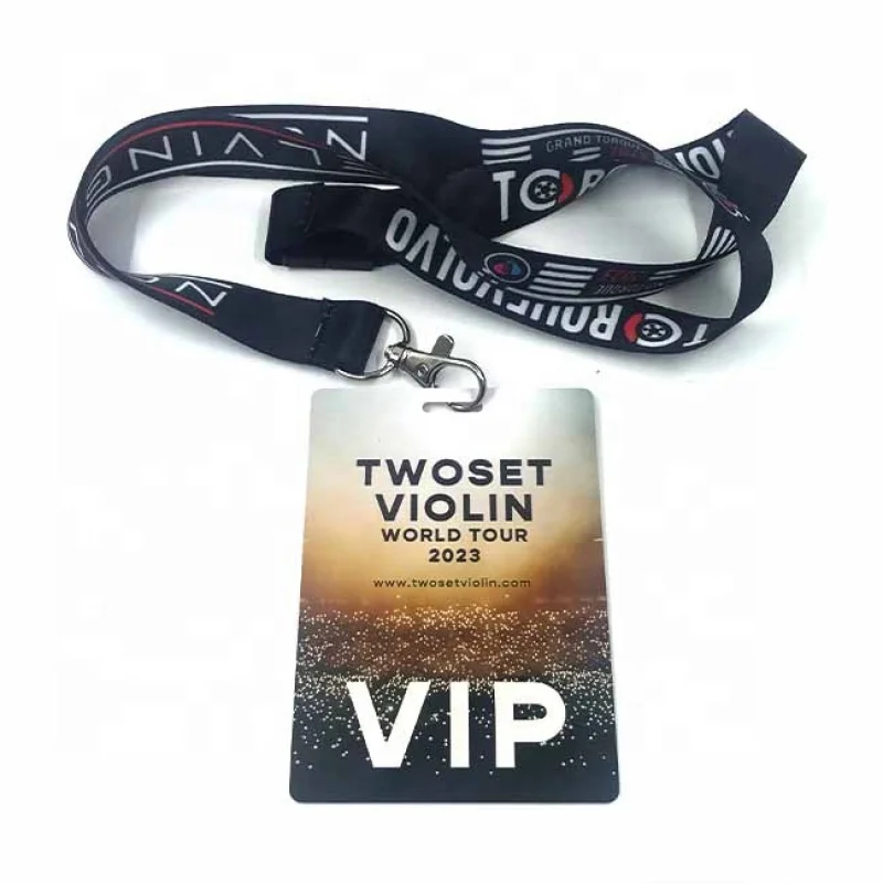 Custom Size Vip Passes Plastic PVC Full Color Printing Vip Pass Card Event Id Badge