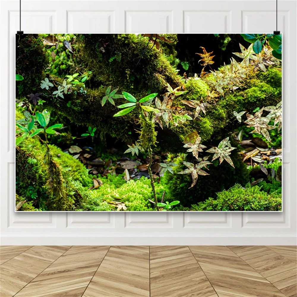 인공 수족관 식물 장식 배경 사진 촬영용 어항 수중 꽃 - Planted Aquarium Photos 리뷰 및 가격