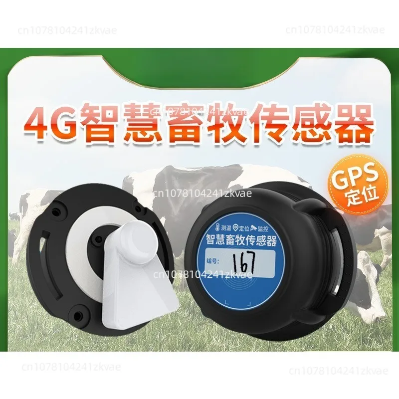 Pig, Cow And Sheep Electronic Ear Tag Temperature Measurement And Monitoring Smart Breeding And Grazing 4G Identification