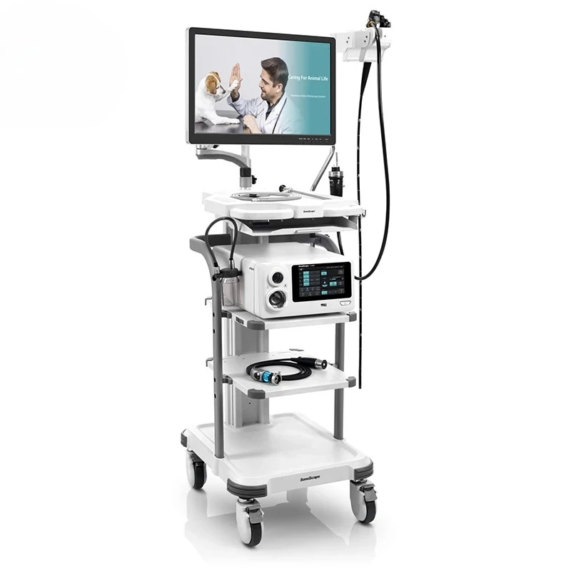 SonoScape V-2000 Sonoscape V-2000 Veterinary Endoscopy System