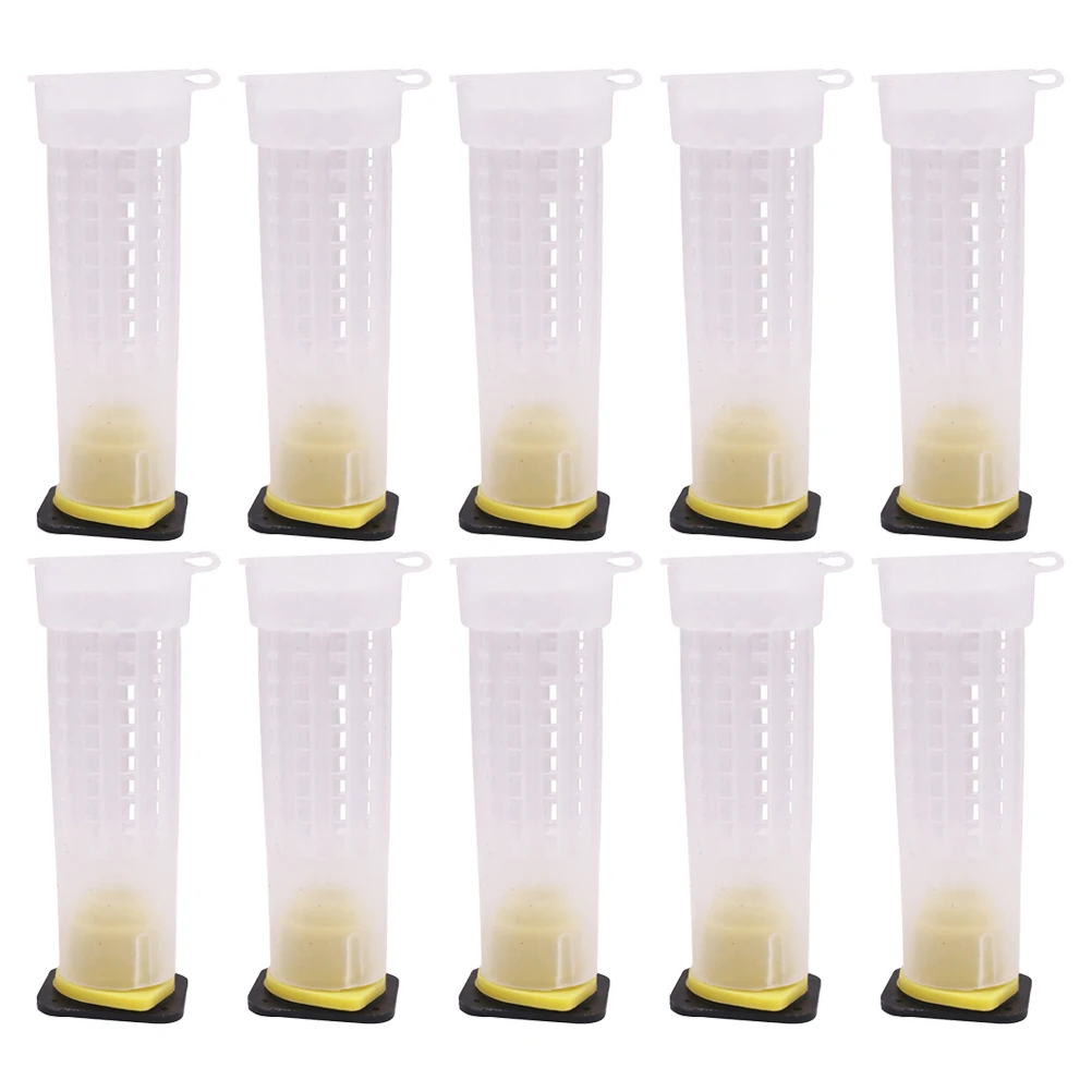 

30 Pcs Protective Cover Beginners Suit Beekeeper Beekeeping Tool Tools