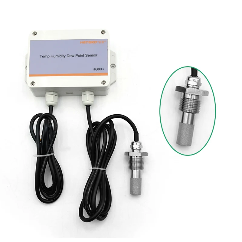 HG803 thread SS probe 4 20mA rs485 mini dew point sensor meter temperature and humidity transmitter for warehouses clean room