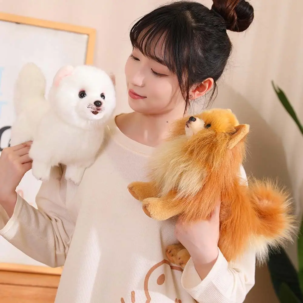 ยืน Pomeranian Plush ของเล่นตุ๊กตาสัตว์ตุ๊กตาสัตว์เลี้ยงตุ๊กตาจําลอง Pomeranian สุนัขตกแต่งบ้านชีวิตจริงตุ๊กตาลูกสุนัข