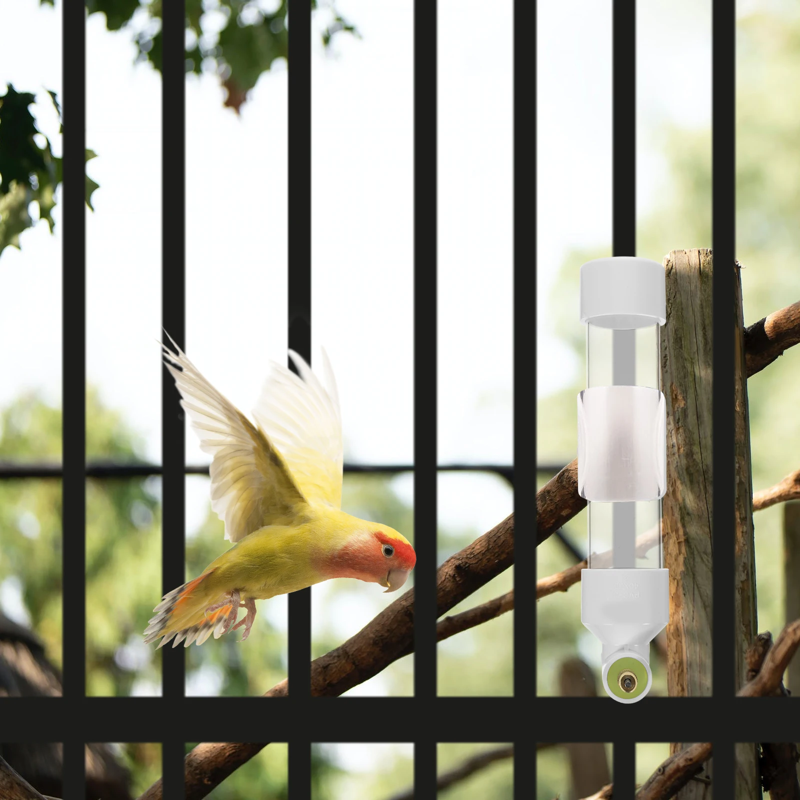 

Automatic Bird Water Dispenser Large Capacity Durable Plastic Feeder For Parrot Pigeon Thrush Cage No Spill Clean