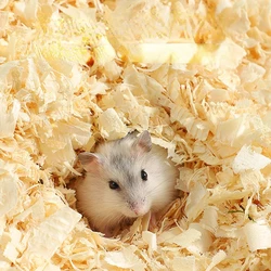 Hamster Rat Mouse Wood Chips Bedding for Rabbits Chinchillas Birch Guinea Pigs Bedding Sawdust Cage House Filler Supplies