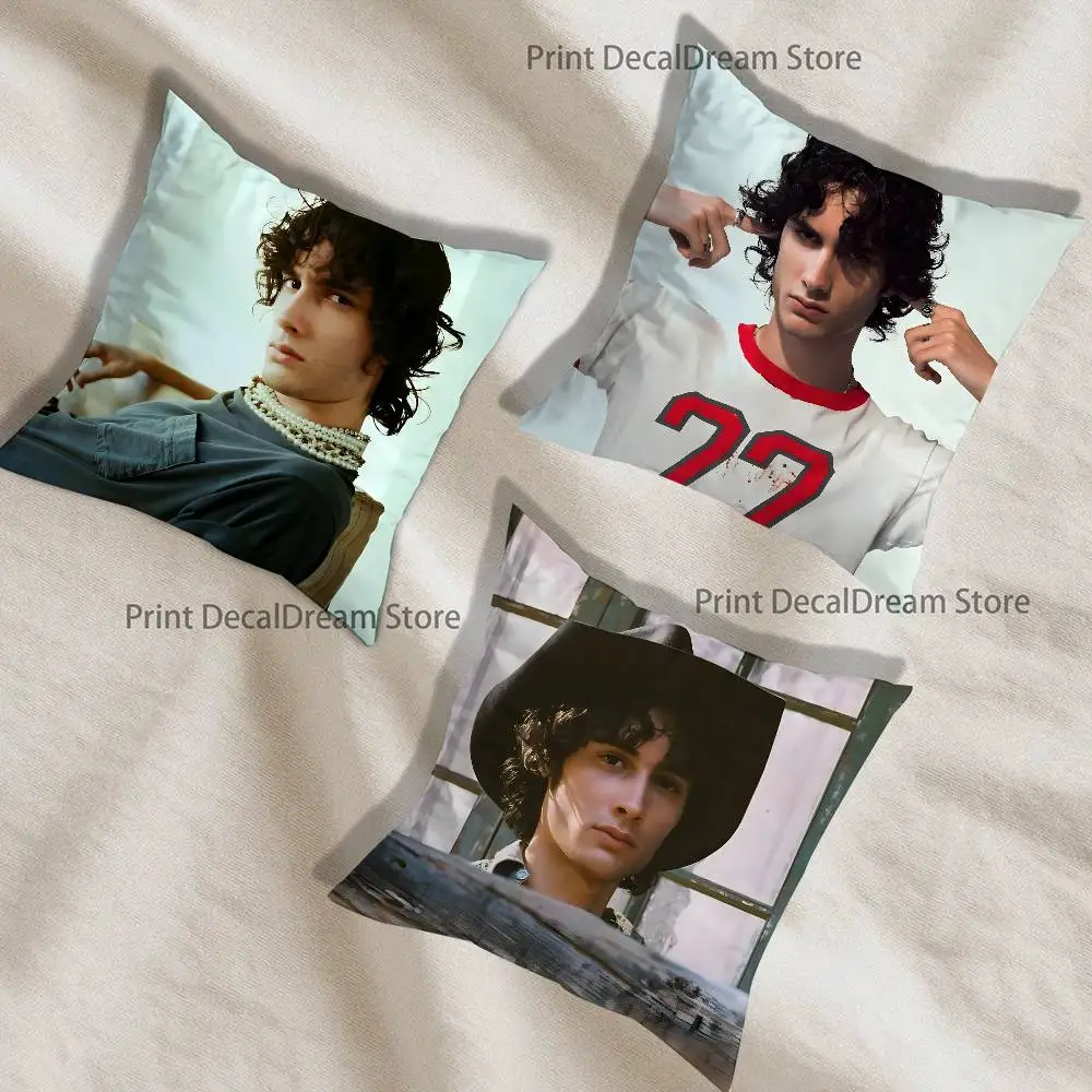 

Singer S-Sombr Pillow Case Ultra Soft Skin Friendly Fabric Cloud Like Comfort & Concealed Zipper