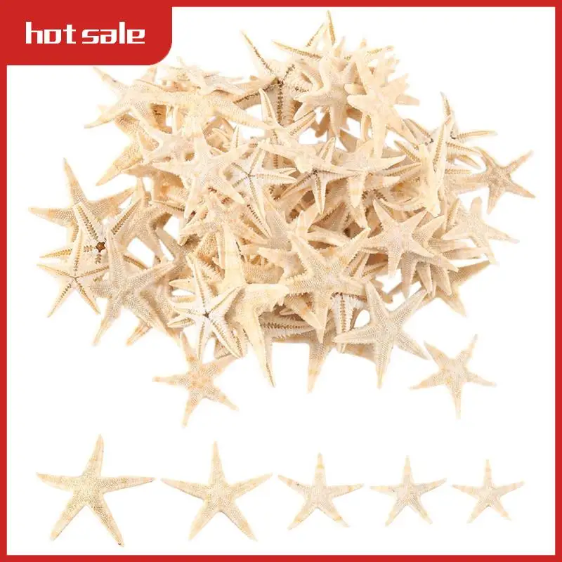 A52I-Small Starfish Star Sea Shell Beach Craft 0.4 Inch-1.2 Inch 90 Pcs
