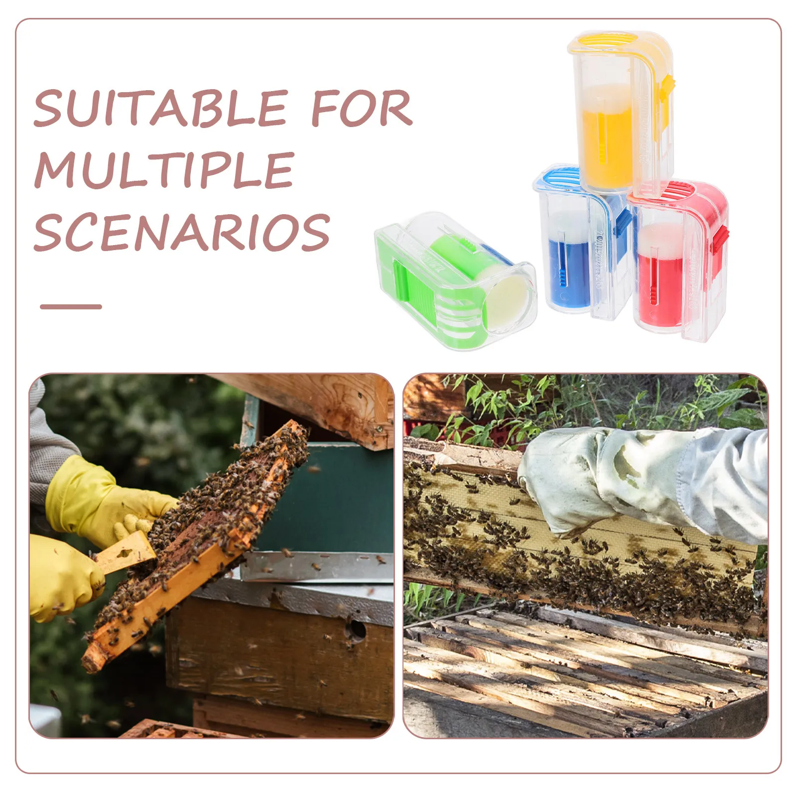 4Pcs Bee Marking Bottle for Beekeeping Efficient Capture and Inspection Lightweight Portable Smooth Burr-Free Plastic