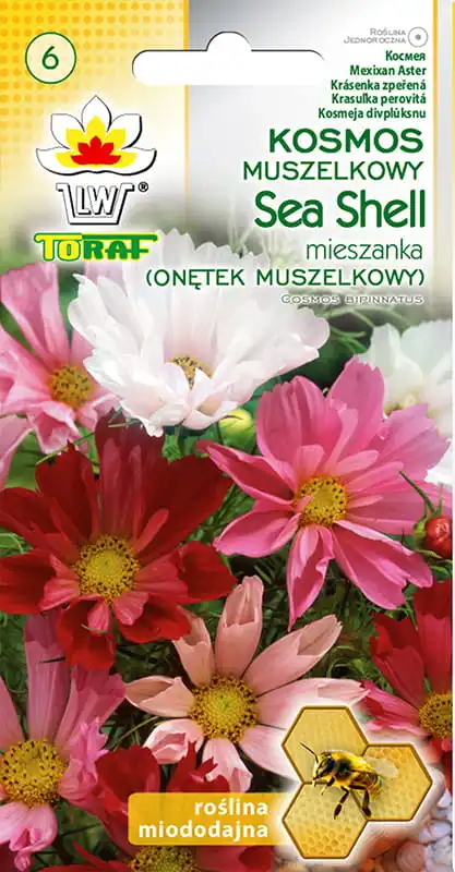 Sea Shell mares flower seeds for home and garden terrace flowers