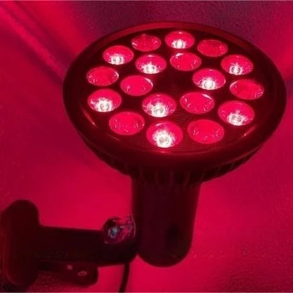 Full Spectrum PAR38 LED Seedling Light 660nm 450nm Professional Plant Supplement Lamp