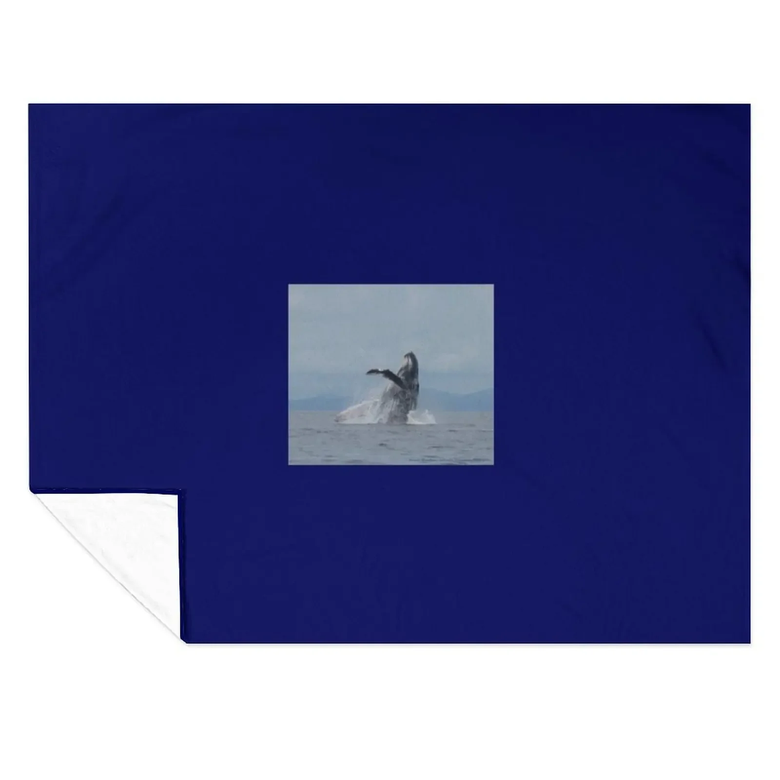 

Humpback Whale Breach Throw Blanket Sofa Quilt Large for sofa Soft Big Blankets
