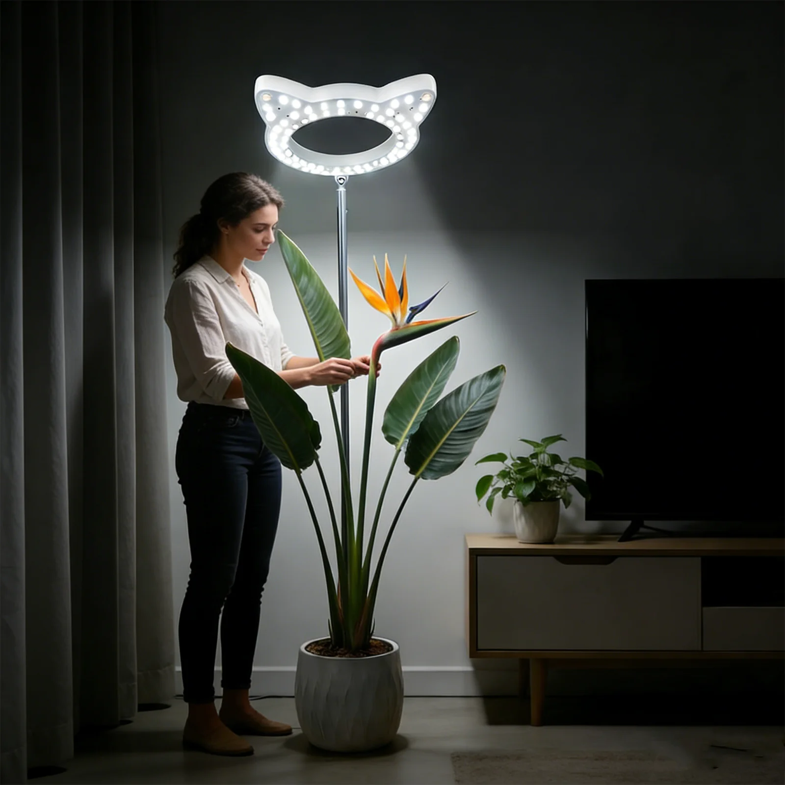 屋内栽培用植物育成ライト、3-9-12時間自動オン-オフ、usb電源、高さ調節可能、家庭やオフィスの屋内植物やハーブ用の3つのモード