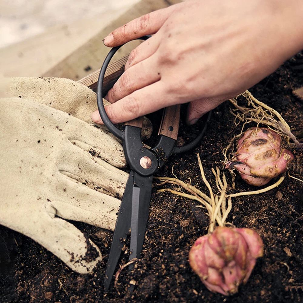 プロ品質の根の剪定はさみ、ステンレス鋼の盆栽ツール、家庭用庭の葉の花、手はさみ、1個