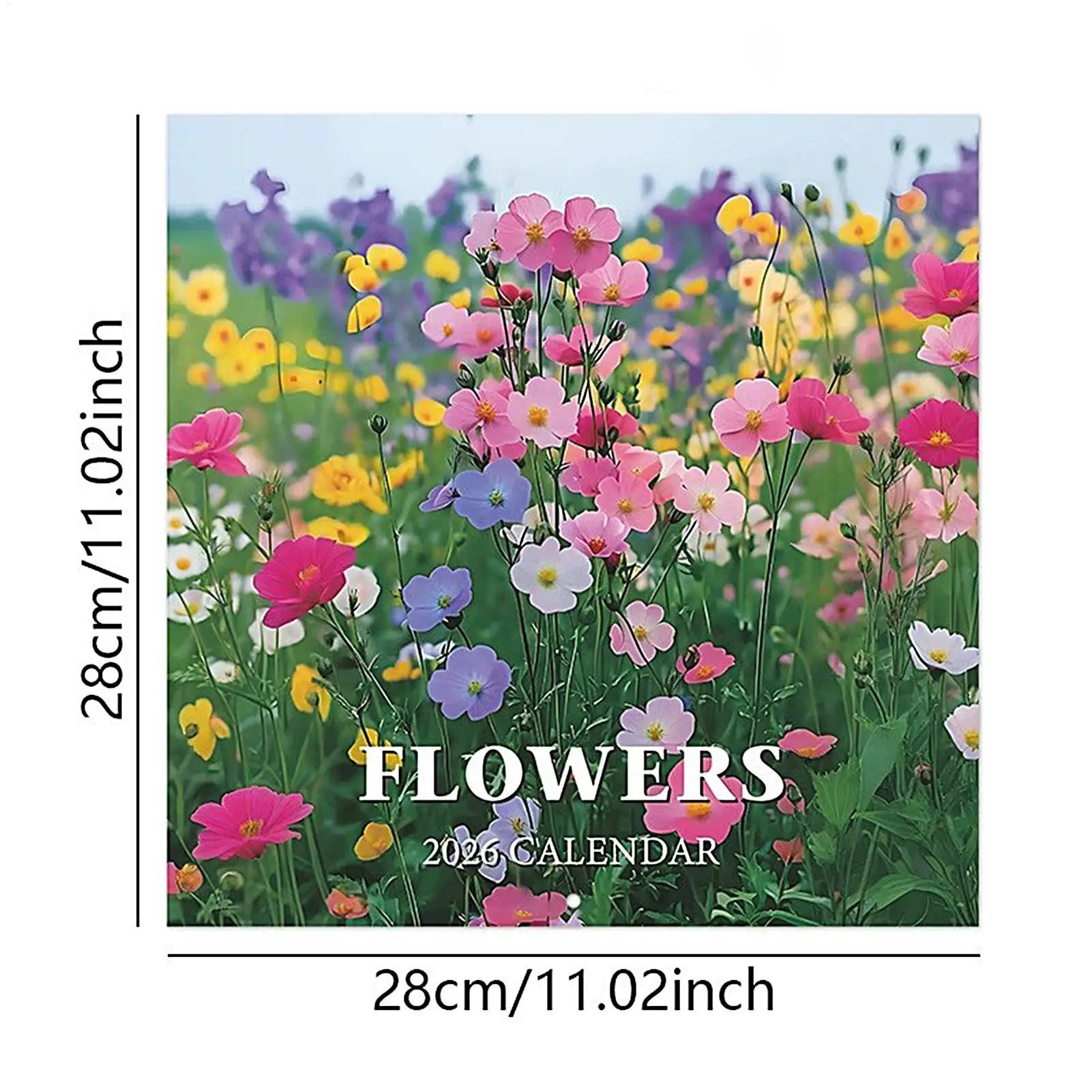 Calendario 2026 Pianificazione da parete Calendario appendibile Tema floreale Programma di 12 mesi Forniture per artisti Studenti Natura