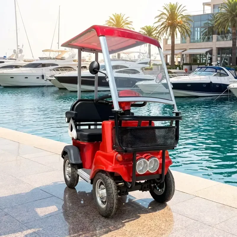S5 60V 800W Resort Sightseeing Electric Car with Canopy 2026 New Single Seat Mobility Scooter for Rental Business Long Range