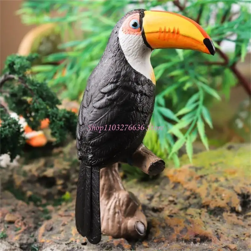 Realistic Toucan Model Figure for Home Decoration Model Bird Animal Toy Car Desk Decors Kids Educational Observation Toy