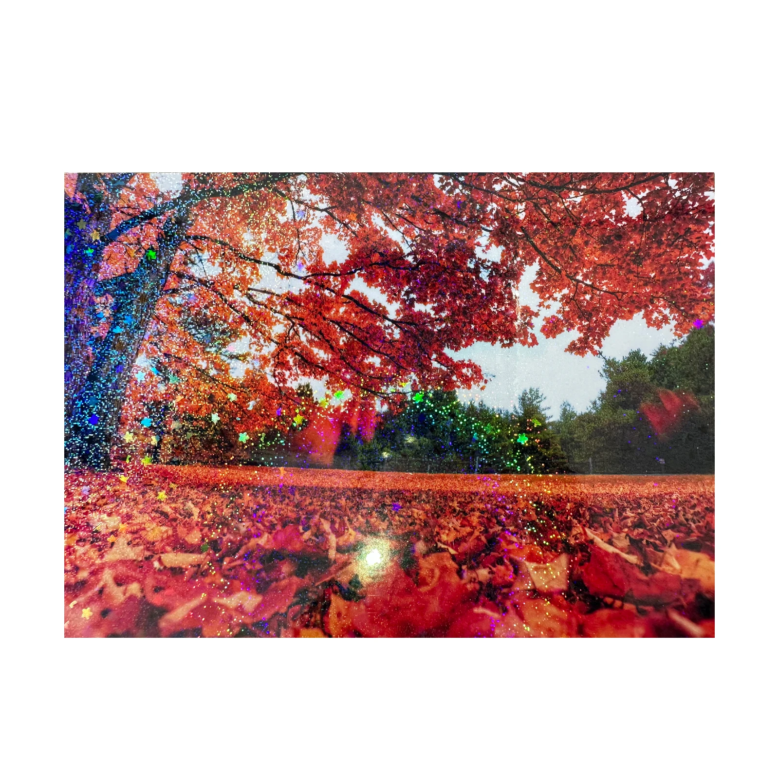 50 hojas-pegatina holográfica de estrella de arena de 2,9x4,1 pulgadas, película laminada en frío superpuesta de papel, hoja de vinilo autoadhesiva