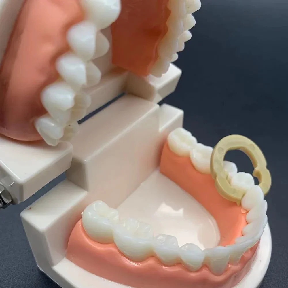 

Dental Orthodontic Loop Bending Pliers Stainless Steel Wire Bending Forceps V-Stop Forming Tool for Ortho Lab Instruments