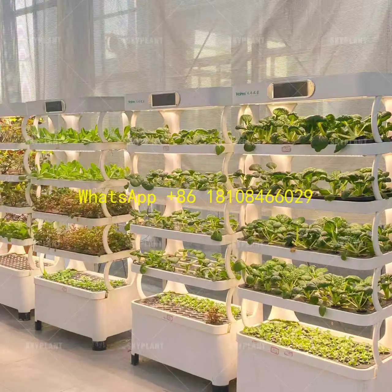 

Intelligent Hydroponic System for Home Seed Indoor Multilayer Vegetable Planting Cabinet Aeroponic/Aquaponic/Drip Pump-Skyplant