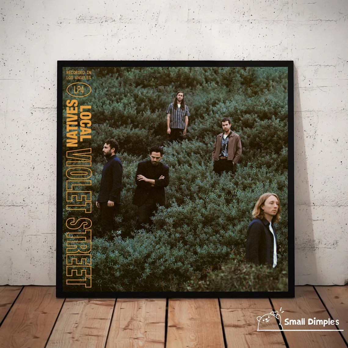 

Local Natives Violet Street Music Album Cover Poster Canvas Art Print Home Decoration Wall Painting (No Frame)