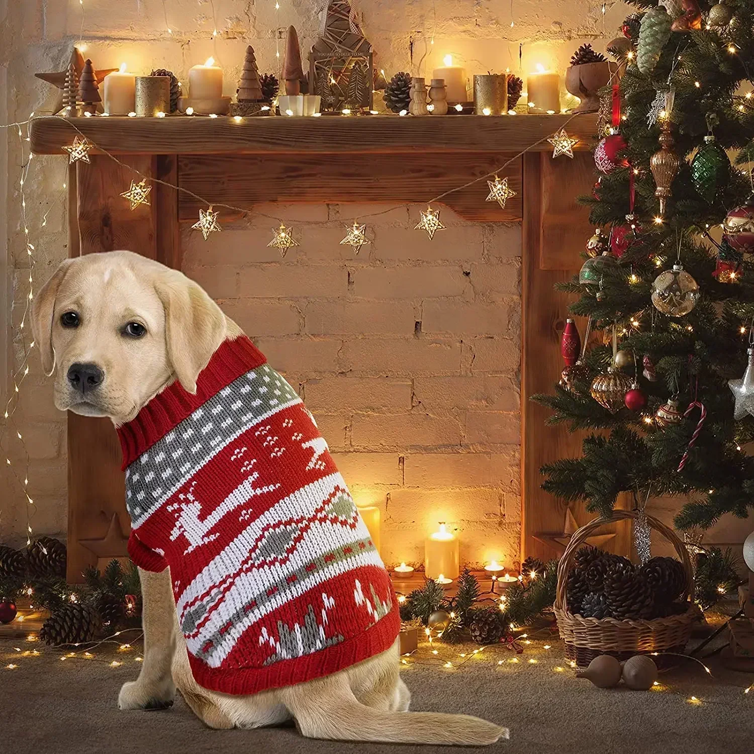 Vestiti per cani caldi per cappotti per cani di piccola taglia giacca abbigliamento invernale per cani gatti abbigliamento Chihuahua Cartoon Pet