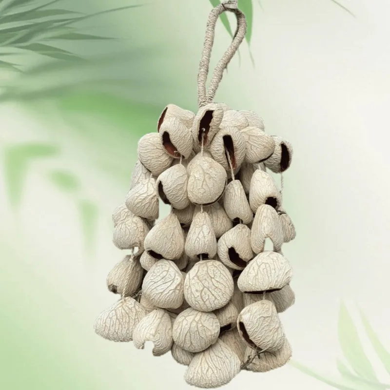 Fruit Shell Hand Bells Yoga Handheld Nut Shell Wind Chimes Sound Healing Natural Handicraft Bell Percussion Musical Instruments