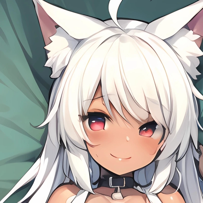 

Dakimakura Anime Pillow cover Shiro Neko Double-sided Print Of Life-size Body Pillowcase Gifts