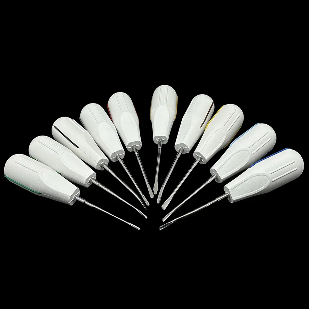 

10Pcs/set Dental Root Elevators Kit Luxating Tooth Extraction Oral Surgery Instruments with Ergonomic Plastic Handle