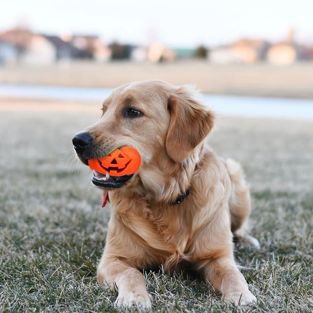 

4 Pcs Pet Toy Teeth Halloween Dog Playing Chewing Toys Puppy Bite Vinyl Child Kids