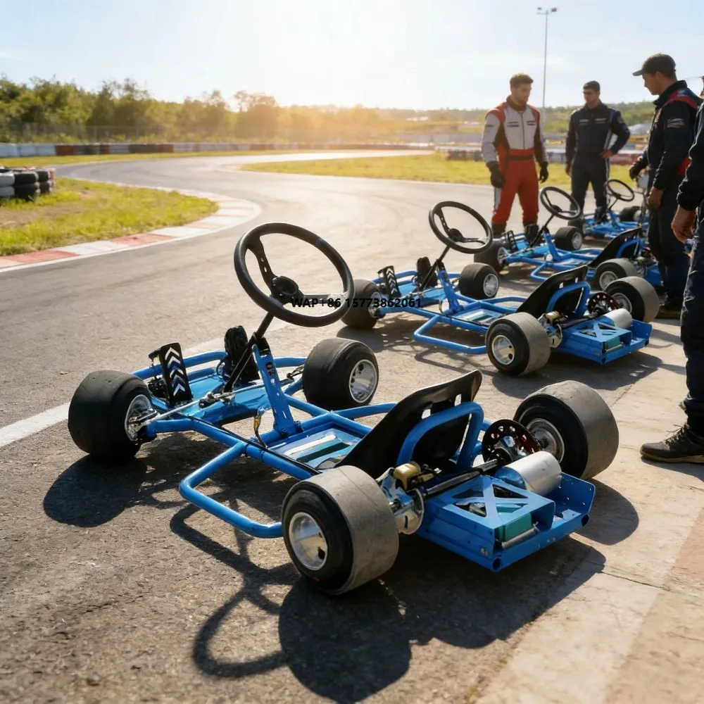 Electric Karting Car Fast Electric Go Kart 72V 3000W Racing for Adults Kids Outdoor Play Amusement Gift