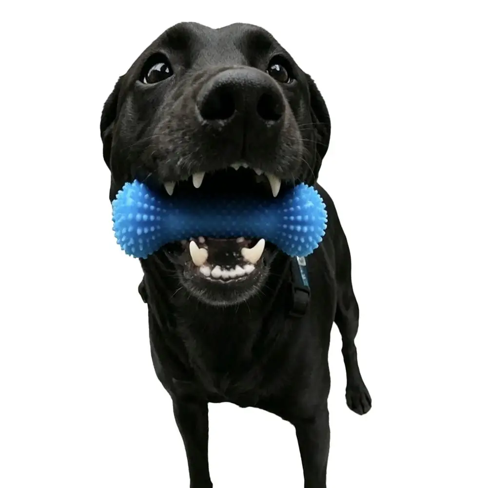 TPR Hundespielzeug mit Quietscher, Zahnbürste, Kau-Stick, Bissresistent, Zahnreinigung, Interaktives Mundpflege-Spielzeug mit Futterausgabe – Detail 10