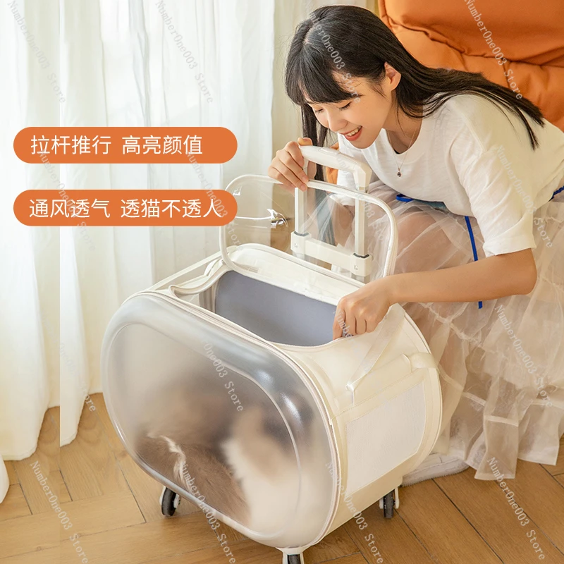 Pet trolley case Transparent cat bag Portable out Large capacity space capsule Dog cat backpack Luggage